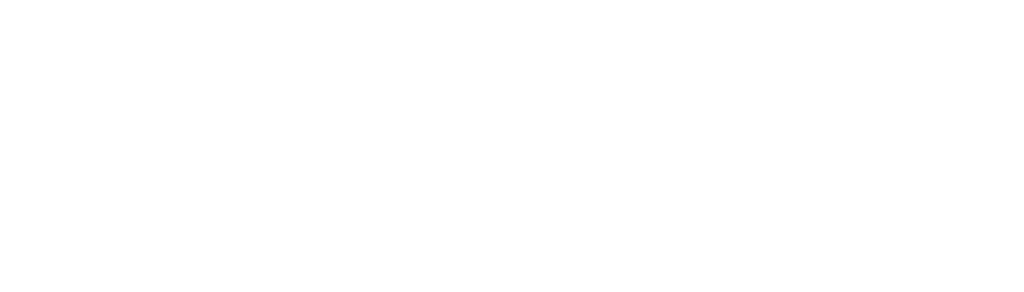 Perfect Analytica Logo - White